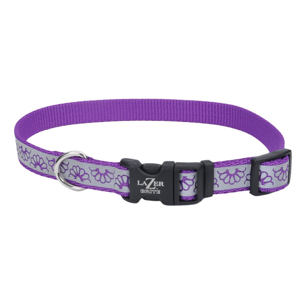 Lazer Brite Reflective Open-Design Dog Collar - Purple Daisy