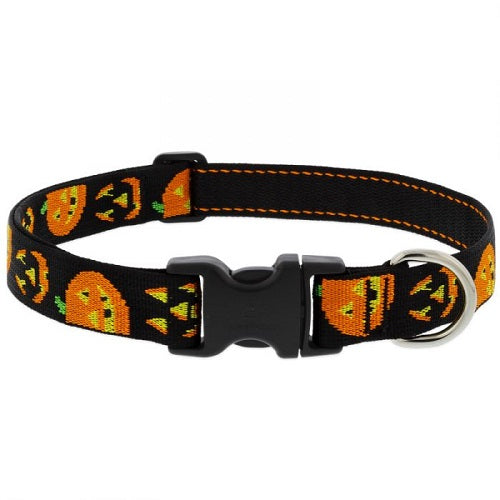 Lupine Adjustable Nylon Dog Collar - Jack O'Lantern