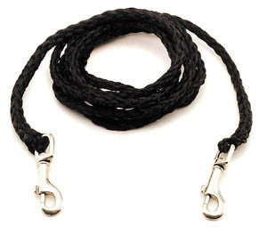 Coastal Pet Poly Dog Tie Out - Black